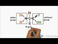 V in W ( Structure of amino acid and formation of dipeptide)