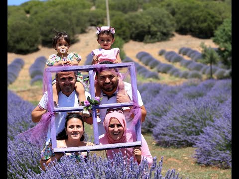 Lavanta Kokulu Köy- Lavanta bahçesi...