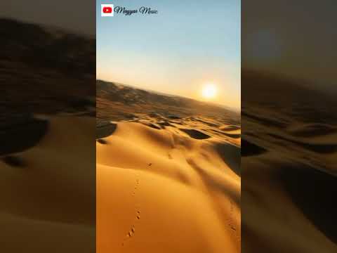 الشاب مامي Desert Rose حالات واتس آب
