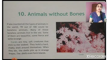 ICSE 3RD GS ANIMALS WITHOUT BONES