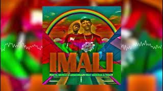 Fiso El Musica & LeeMckrazy - Imali ft. Mjoox45 & Tracy (Audio Visualizer)