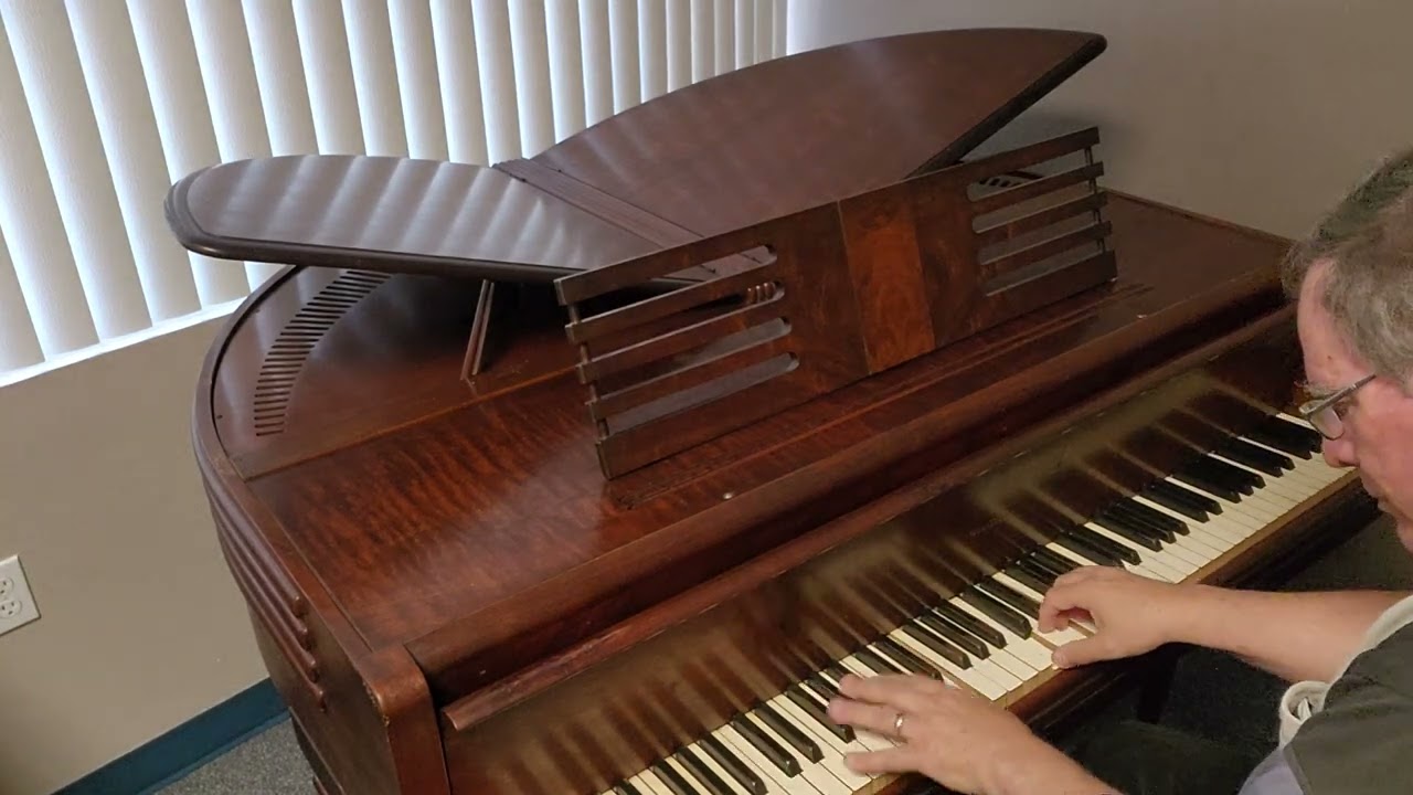 Small Butterfly Grand Piano in FL