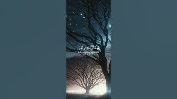 (شهر رمضان الذي اُنزل فيه القرآن) تلاوه خاشعه بصوت الشيخ ماهر المعيقلي.