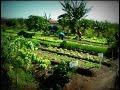 De un desierto de carbón a un oasis de hortalizas