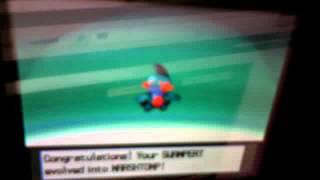 mudkip evolves on hilltop of mount everest!