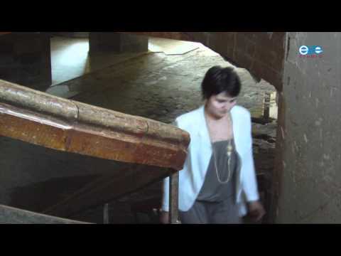 კსელი სინერგია