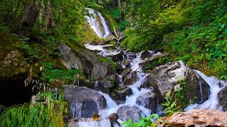 Красивый Водопад. Лучший Белый Шум Природы, Фоновые Звуки Для Крепкого Сна И Расслабления