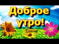 ❤️ДОБРОЕ УТРО! Красивое пожелание с Добрым Утром! Аудио стихи о жизни Видео открытка!