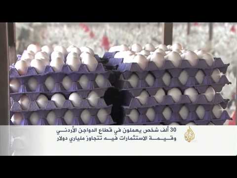 منتجو البيض والدواجن بالأردن يهددون بالاحتجاج