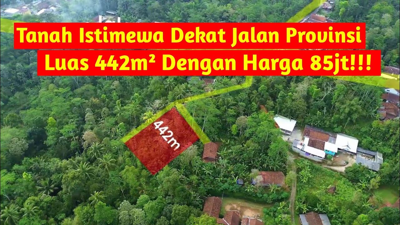Jual Tanah Istimewa Dekat Jalan Provinsi Luas 442m² Dengan Harga 85jt!!!