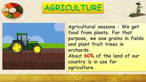 Class 5/ E.V.S./ L 12 FOOD FOR ALL PART 1/ by BMC VTC Teacher MRS. NAVEDA SHAIKH