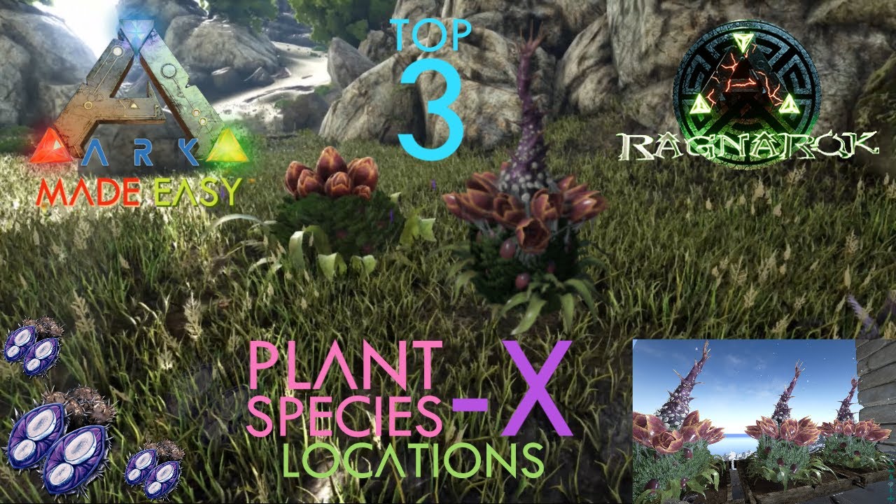✨TOP 3✨ Plant Species X Locations | | ARK: Made -