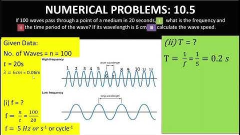 Numerical Physics Class 10 Chapter 1 |10.3 to 10.6| APEX