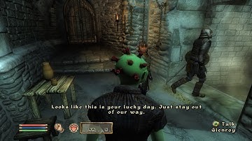 The Elder Scrolls IV Oblivion Part 15 Allies for Bruma Skingrad