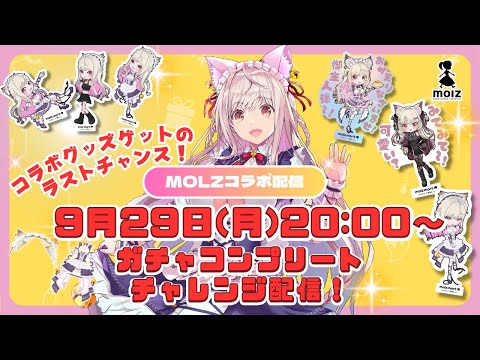 【 アプリコラボ?!?! 】春霞みぃな×MOLZ　ガチャコンプチャレンジ！✨️　【#vtuber  / 春霞みぃな　#みぃlive】