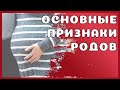 Признаки родов ● ОЩУЩЕНИЯ и ЧТО ПРОИСХОДИТ