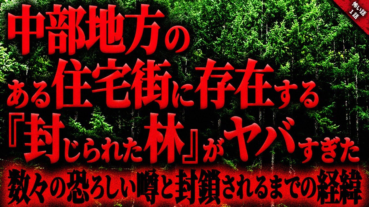 【怖い話】中部地方のある住宅街に存在する”封じられた林”がヤバ過ぎた…。数々の恐ろしい噂と封鎖されるまでの経緯。そして友人が語った余りにも不可解すぎる体験談…。長編1話【ゆっくり怖い話作業用/睡眠用】