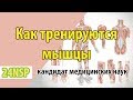 Как тренируется реакция? ✓ Простой принцип от кандидата медицинских наук.