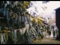 belcourt alleyways | bmpcc4k + $12 pinhole lens