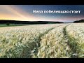 Христианский альбом - Нива побелевшая стоит (МХО МСЦ ЕХБ)