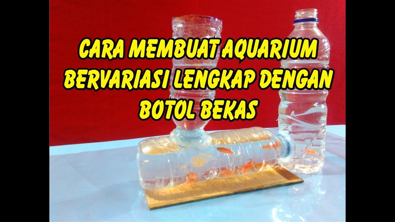  Cara  membuat  Aquarium  bervariasi lengkap dengan botol 