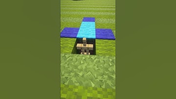 Minecraft how to make STEVE CARPET #shorts