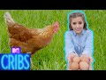 EP #4: Love Island’s Georgia Steel’s Gorg Farm | MTV Cribs UK