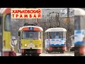 Трамваи на Академика Павлова | Харьков | Kharkiv Tram | Akademika Pavlova str.