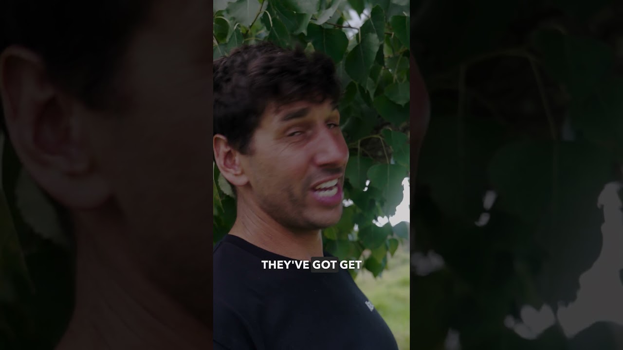 Saving Wild Bees From Destruction Pt 5!