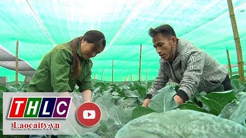 Ứng dụng khoa học công nghệ trong sản xuất nông nghiệp | THLC