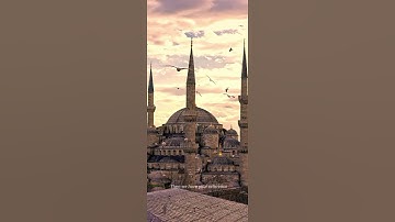 سورة يونس {الآية 23} بصوت الشيخ ماهر المعيقلي ❤️💖