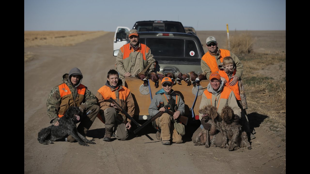 Large Puppy Equals Large Adult? Three Week Obedience Training and