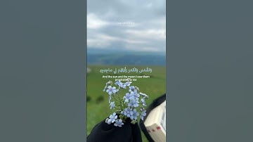 سورة يوسف 🤍🦋 #القرآن #القرآن_الكريم #سورة #سورة_يوسف #المصحف #راحة_نفسية #اكسبلور #اكسبلور