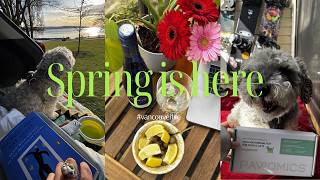 밴쿠버 브이로그 Vancouver Finally Gets Sunshine Sun Run Sunny Day With Randy. Vlog