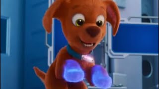 Zuma turns into a puddle - pawpatrol the mighty movie clip