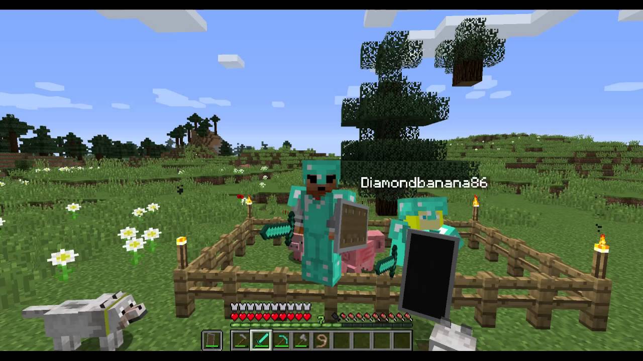Minecraft Minecraft