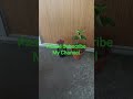 Please Subscribe My Channel