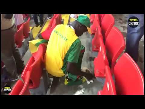 GANO SENEGAL y sus hinchas LIMPIAN su sector del estadio. Ganaron adentro y afuera de la cancha.