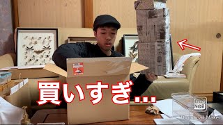 [荷物開封]クリアスライダーを10箱買った(提供密叶蒼樹様)