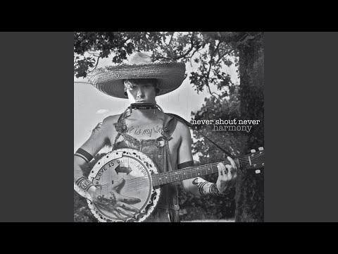 lousy truth - Never Shout Never