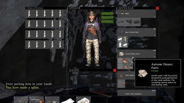 DayZ Standalone | Splint bug