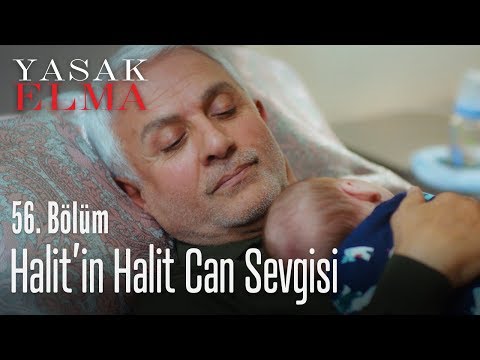 Halit'in Halit Can sevgisi - Yasak Elma 56. Bölüm