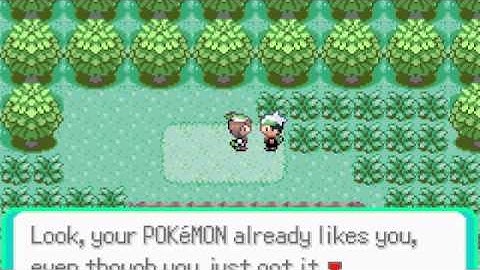 Pokemon Emerald Walkthrough Part 3 - Brendan Sucks
