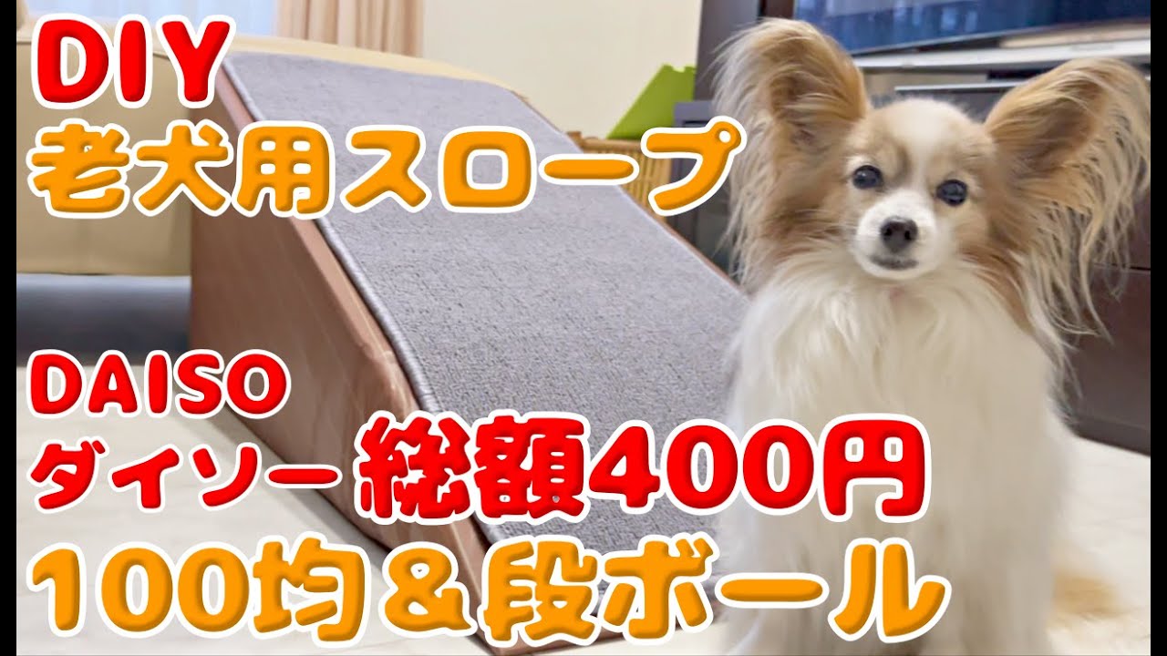 DIY for 400 yen] I made a slope for my dog ​​with Daiso products