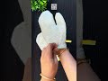 dish wash gloves for kitchen malaylam