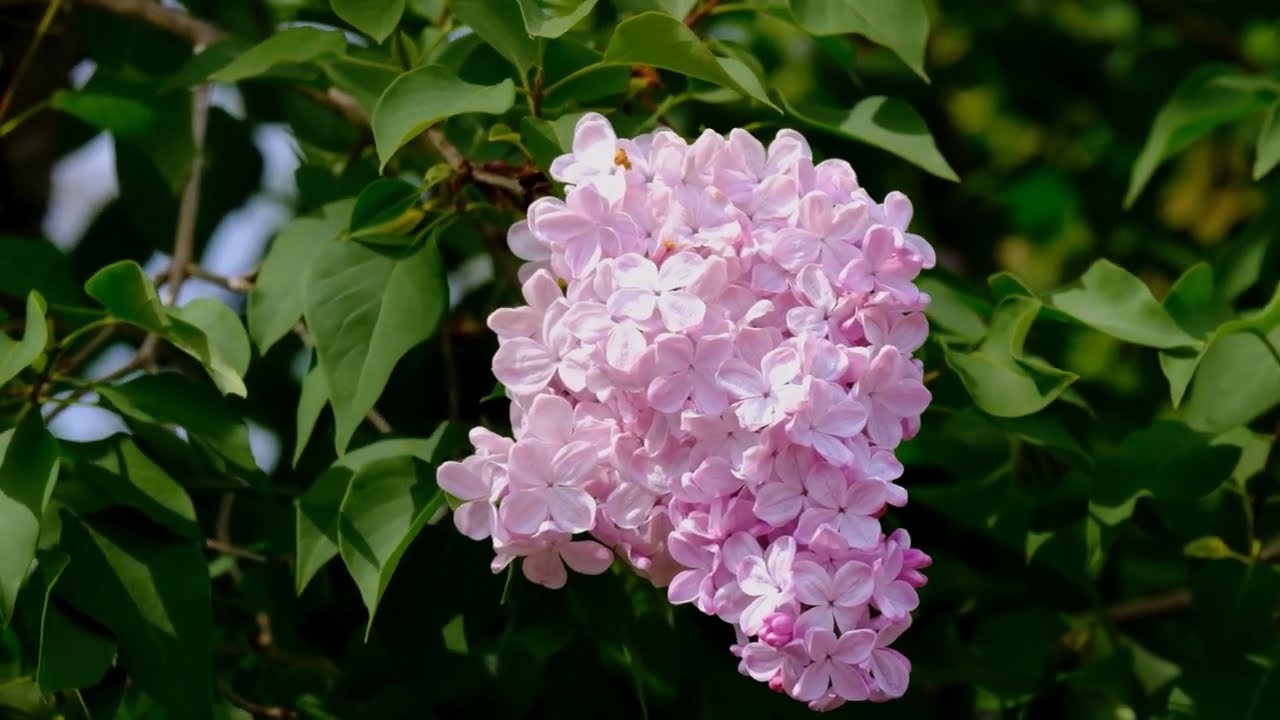 Exploring Effective Communication Channels in the Digital Age