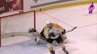IBAM WHL Insurance Goals - Dec 8, 2016