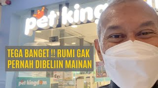 Belanja Mainan Buat Rumi Di Pet Kingdom Kemang