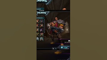 Overwatch 2 Player Tries To Guess Paladins Characters Look Alikes