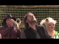 WHO IS THIS KUSTURICA -trailer_ engl (dir. N. Gugueva)